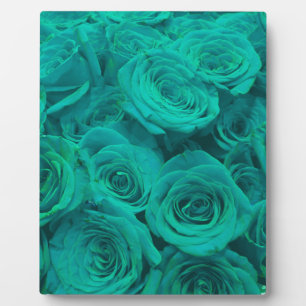 Plaque Photo Romantique élégant turquoise - roses verts