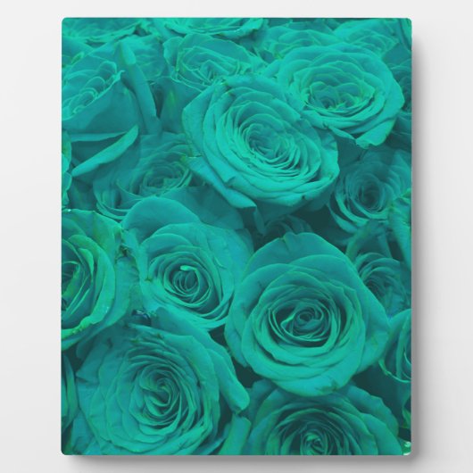 Plaque Photo Romantique élégant turquoise - roses verts (Devant)