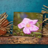 Plaque Photo Rose (Côté)