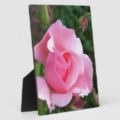 Plaque Photo rose (Côté)