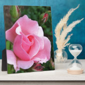 Plaque Photo rose (Côté)