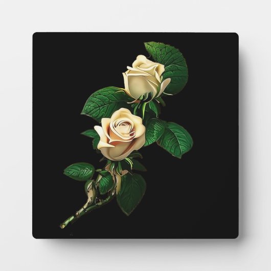 Plaque Photo Rose blanche (Devant)