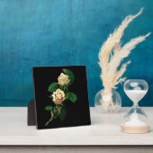 Plaque Photo Rose blanche (Insitu)