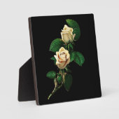 Plaque Photo Rose blanche (Recto)