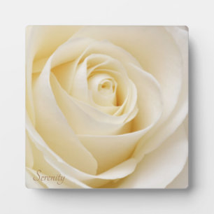 Plaque Photo Rose blanche Sérénité et paix