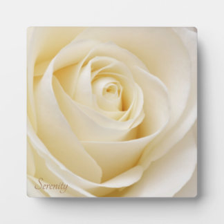 Plaque Photo Rose blanche Sérénité et paix