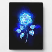 Plaque Photo Rose bleu brûlant (Devant)