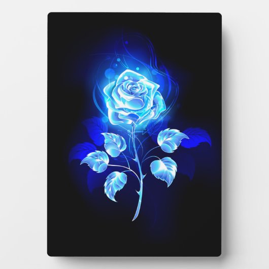 Plaque Photo Rose bleu brûlant (Devant)