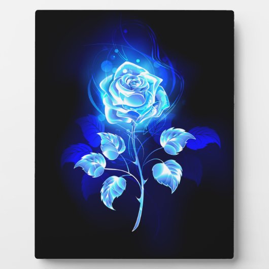 Plaque Photo Rose bleue brûlante (Devant)