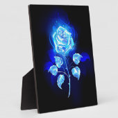 Plaque Photo Rose bleue brûlante (Côté)