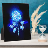 Plaque Photo Rose bleue brûlante (Côté)