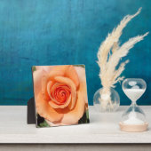 Plaque Photo Rose de plage (Insitu)