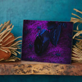 Plaque Photo Rose éffrayant en matière noire, araignées noires (Côté)