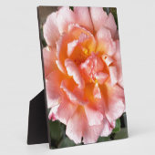 Plaque Photo rose en automne (Côté)