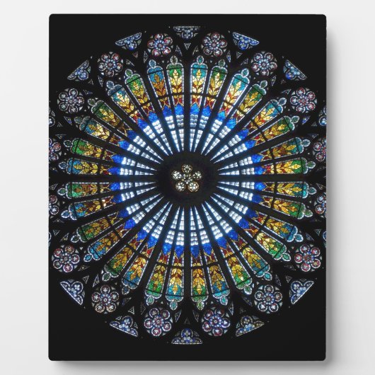 Plaque Photo Rose en verre tendu à Strasbourg (Devant)