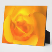 Plaque photo Rose enroulée (Côté)