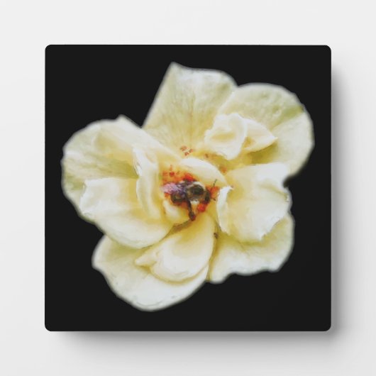 Plaque Photo Rose et abeille (Devant)