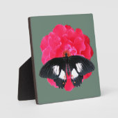 Plaque Photo Rose et Swallowtail (Recto)