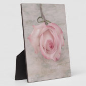 Plaque Photo Rose Fleur Rose Pâle (Côté)