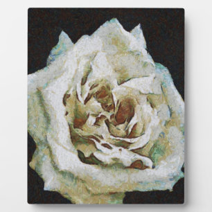 Plaque Photo Rose impressionniste isolé sur noir