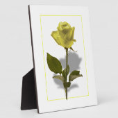 Plaque Photo Rose jaune de l'amitié (Côté)