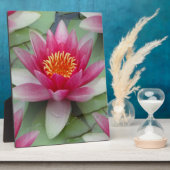 Plaque Photo Rose Lotus Water Lily (Côté)