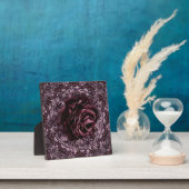 Plaque Photo Rose Mandala (Insitu)