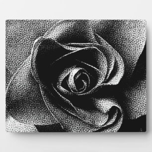 PLAQUE PHOTO ROSE NOIR