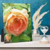 Plaque Photo Rose orange (Côté)