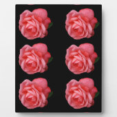 Plaque Photo Rose rose (Devant)