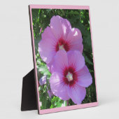 Plaque Photo Rose rose de Sharon Photo (Côté)