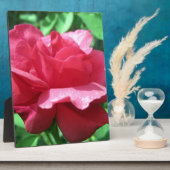 Plaque Photo Rose rouge (Côté)