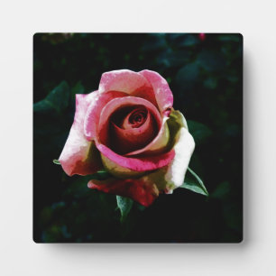 Plaque Photo Rose rouge peinte à l'huile