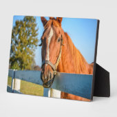 Plaque Photo Rose Twilight | Thoroughbred Race Horse (Côté)