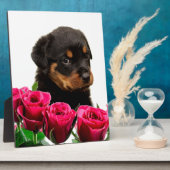 Plaque Photo Rose Valentin Rottweiler Puppy (Côté)