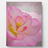 Plaque Photo Rose victorien rose (Devant)