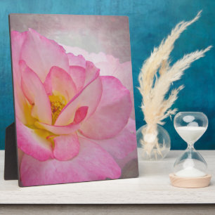Plaque Photo Rose victorien rose