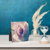 Plaque Photo Rose violet (Insitu)