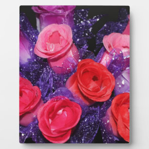 Plaque Photo Roses