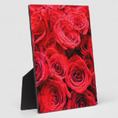Plaque Photo Roses rouges (Côté)