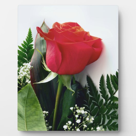 Plaque Photo Roses rouges (Devant)