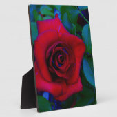 Plaque Photo Roses rouges aux tons bleus