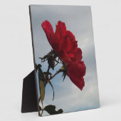 Plaque Photo Roses rouges contre un ciel bleu vif (Côté)