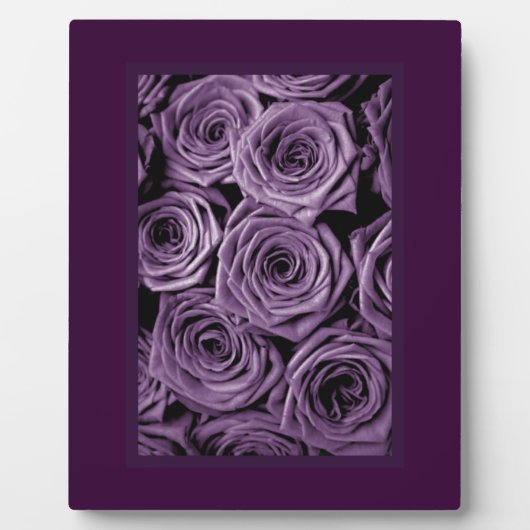 Plaque Photo Roses violets (Devant)
