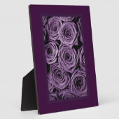 Plaque Photo Roses violets (Côté)