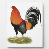 Plaque Photo Roster de Gamecock Wheaten (Devant)