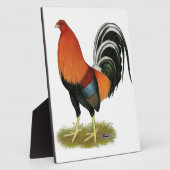 Plaque Photo Roster de Gamecock Wheaten (Côté)