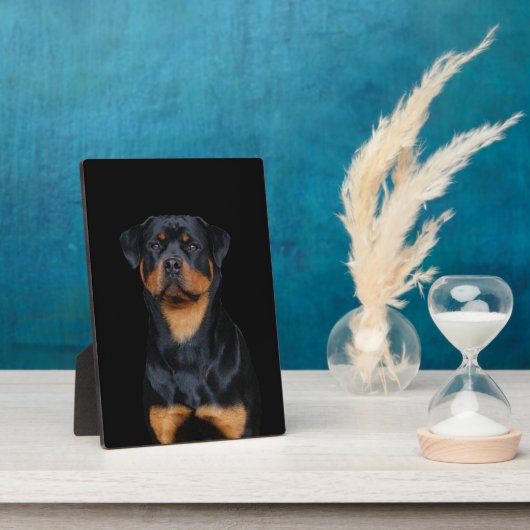Plaque Photo Rottweiler (Côté)