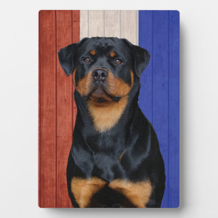 Plaque Photo Rottweiler  