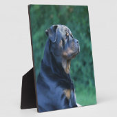 Plaque Photo Rottweiler (Côté)
